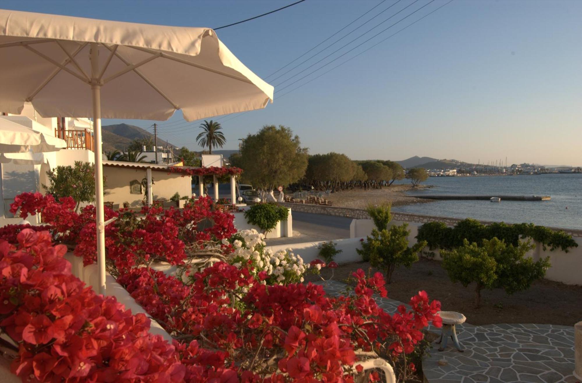 Irene Studios - Beachfront Páros Eksteriør bilde