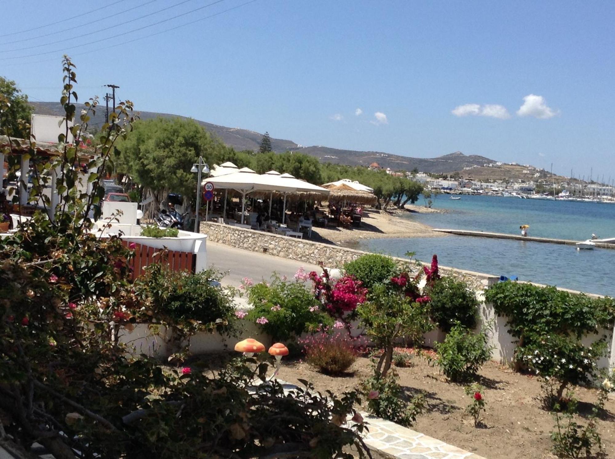 Irene Studios - Beachfront Páros Eksteriør bilde